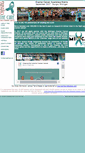 Mobile Screenshot of chasingthecure.net